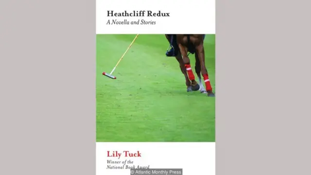 Lily Tuck, Heathcliff Redux and Other Stories