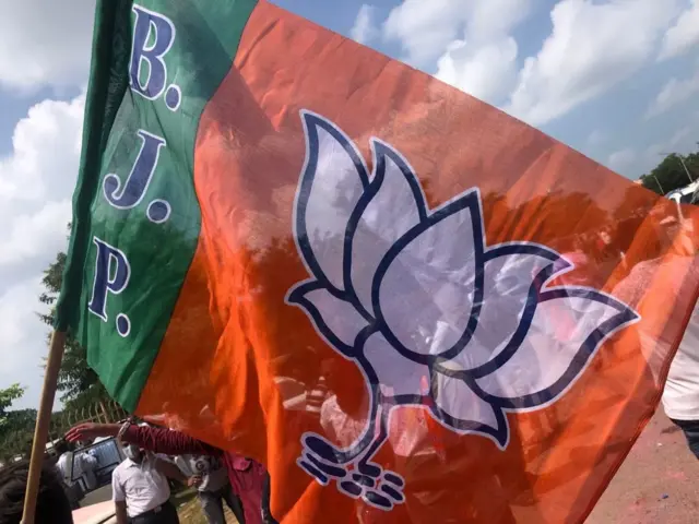 ભાજપનો ઝંડો