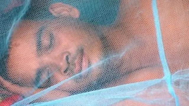 Gidan sauro me magani na tasiri sosai wajen rage masu kamuwa da maleriya