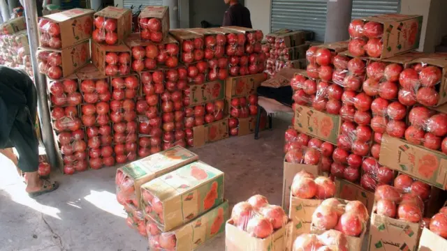 د کندهار انار