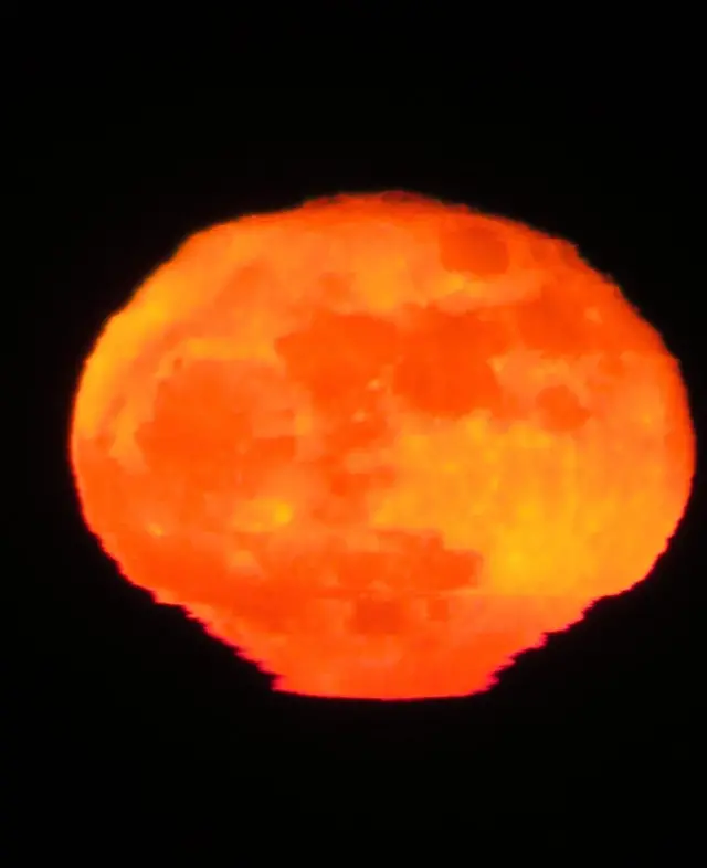 Luna creciente de Katherine Young