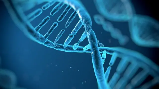 Tableau de la diversité génétique