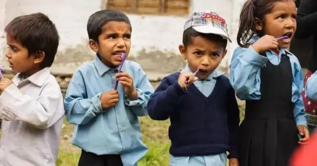 பல், அரோக்கியம்