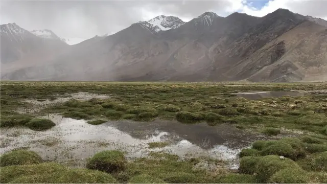 जून 2018 में बर्फ पिघटने से सर्दियों में जमीन दलदली हो गई