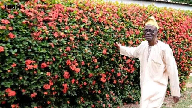 Ọjọgbọn Oladele Awobuluyi