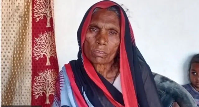 இந்தியா-பாகிஸ்தான் லூடோ காதல் கதை