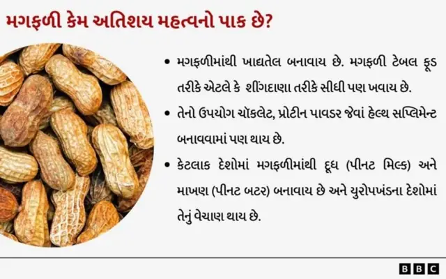 મગફળીની ખેતી, ગુજરાતમાં ખેતી, ખેડૂતો, માર્કેટિંગ યાર્ડ, ટેકાના ભાવ