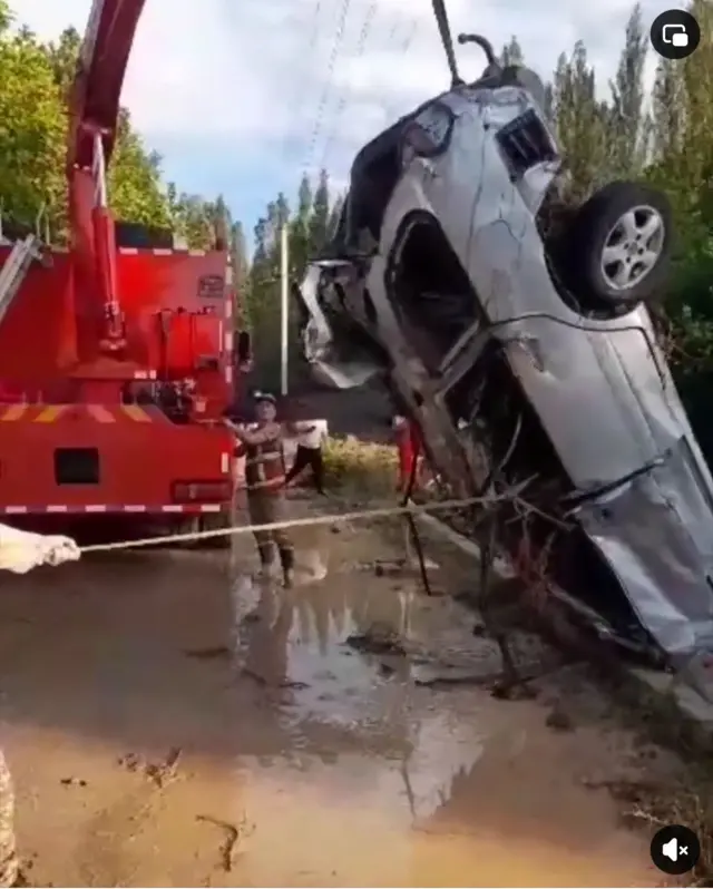 Селдин кесепетин жоюу, издөө иштери уланууда