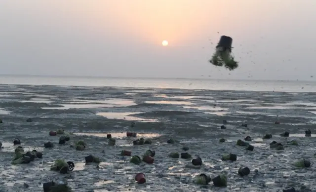 ما قصة الحية بية في الموروث الشعبي الخليجي؟