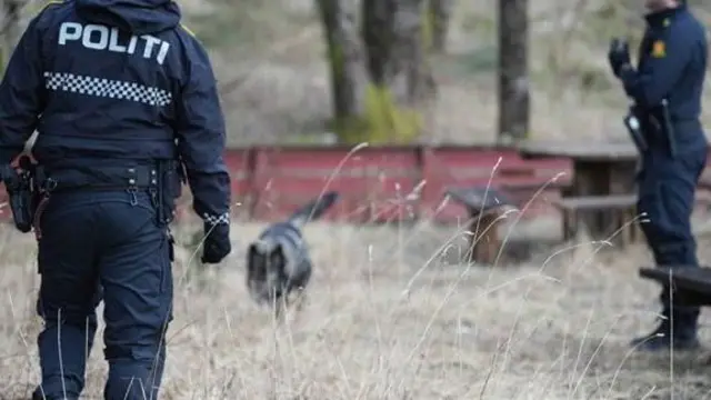 دو فرد پولییس و یک سگ آموزش دیده که در حال جستجو در صحنه هستند.