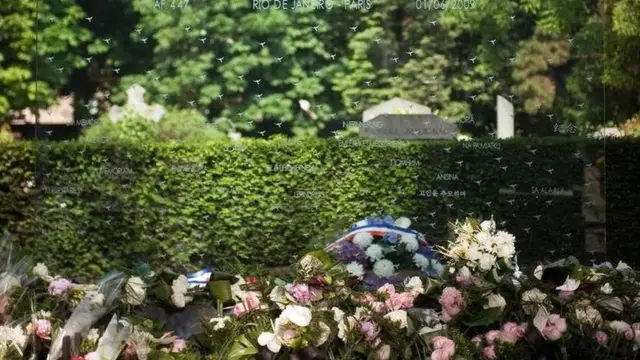 एयर फ्रांस 447 क्रैश