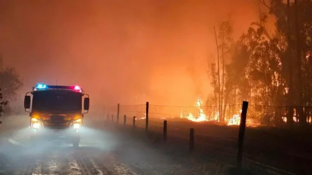 Straż pożarna przejeżdża po drodze, z boku pożar.
