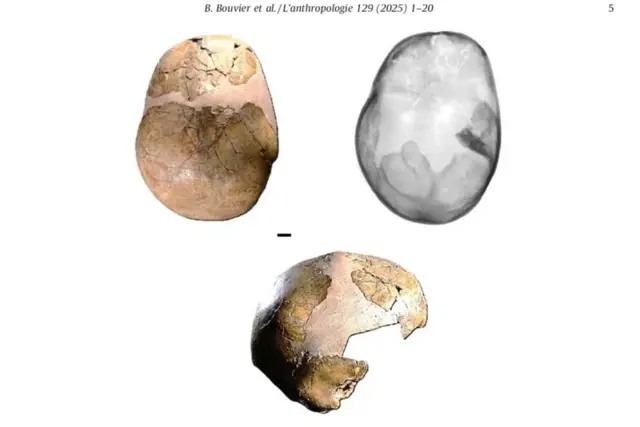 கார்மல் மலை, குழந்தை ஸ்குல் I, குகை, மிகப் பழமையான கல்லறை