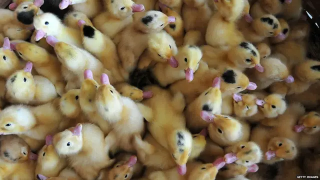 कोरोना वायरस के बारे में जानकारी