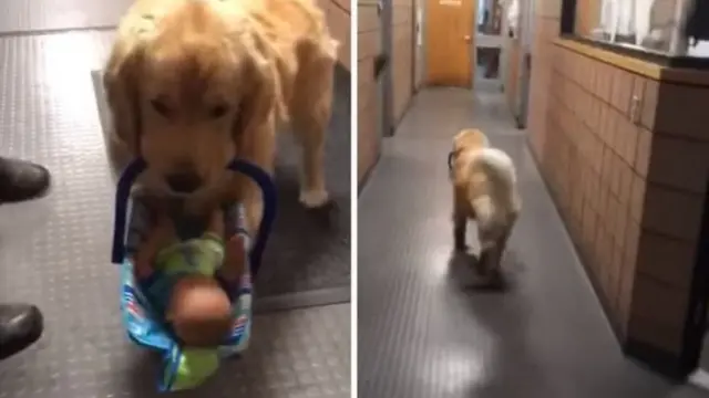 બેન ફ્રેન્કલિન