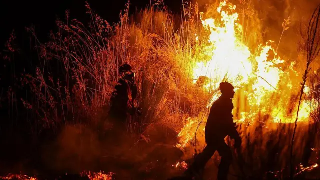 Пожарные на фоне горящих кустов