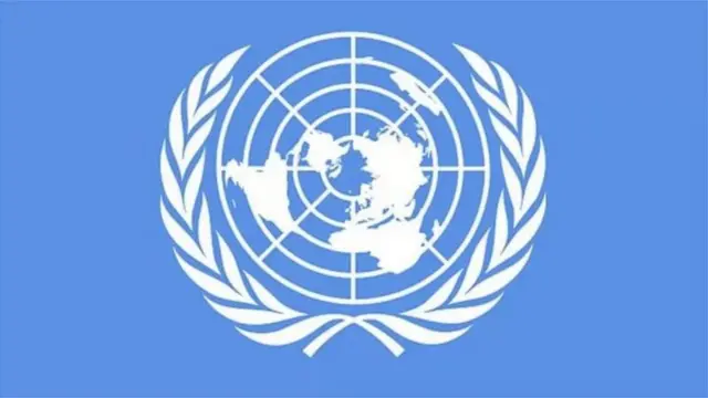 বাংলাদেশের জাতীয় নির্বাচনে জাতিসংঘের ভূমিকা রাখার সুযোগ আছে? - BBC News বাংলা