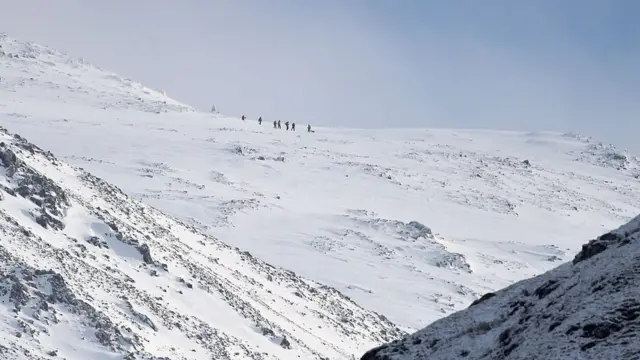本尼維斯山