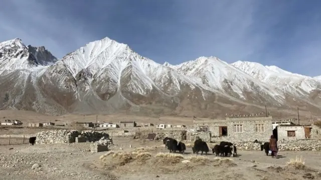 மேய்ச்சலுக்கு செல்லும் கால்நடைகள்