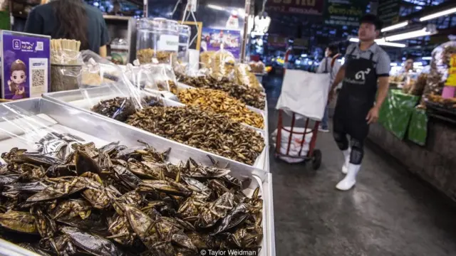 कीड़ों का कारोबार