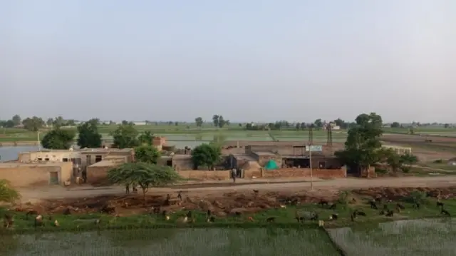 ஓடுதளம், பஞ்சாப், இந்திய விமானப்படை ஓடுதளத்தை விற்பனை செய்த தாய் மகன்