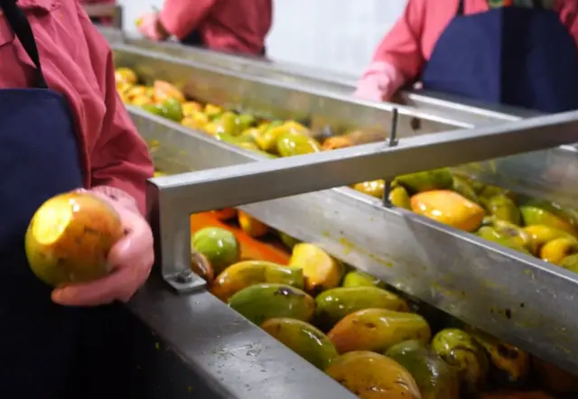 தோத்தாபுரி மாம்பழங்கள், இரான் - இஸ்ரேல் மோதல் 