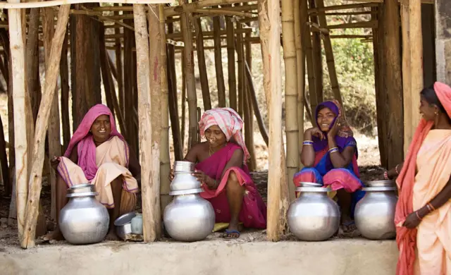 પૂર્વ, મધ્ય અને પશ્ચિમના ભારતના જંગલોમાં પુષ્ળક પ્રમાણમાં મહુડાના ઝાડ થાય છે