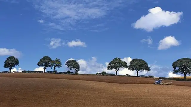 क्लाउड सीडिंग