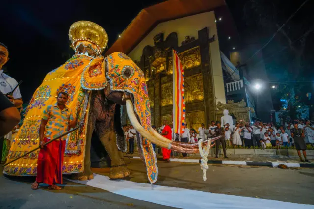 Hindu ayininde kullanılan bir fil