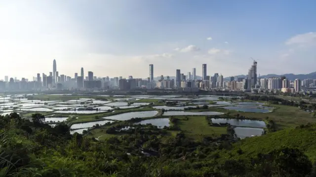 落马洲地区农田远处的深圳建筑群。