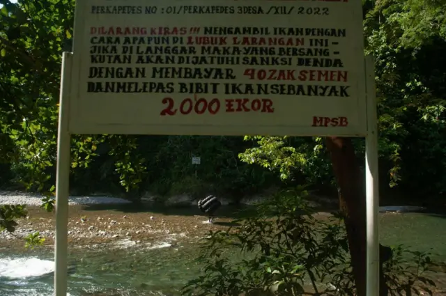 Taman nasional