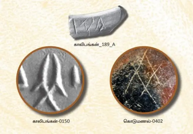 சிந்து சமவெளி, தமிழ்நாடு தொல்லியல் துறை 