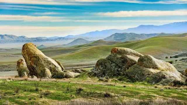 (圖片來源: Zack Frank)