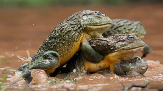 Top 10 eng yaxshi jinsiy aloqa pozitsiyalari