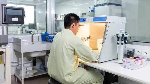 維斯那東實驗室一名成員正在檢查一份蝙蝠尿樣本。