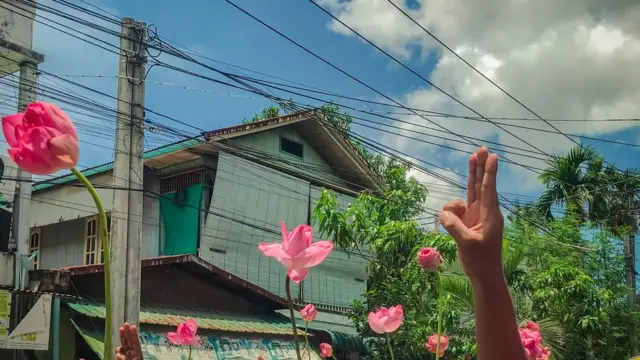 ထားဝယ်က ပန်းသပိတ်