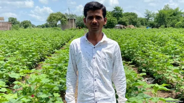 त्र्यंबक शेजूळ