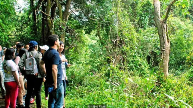 العطر الذي يفوق الذهب سعراً