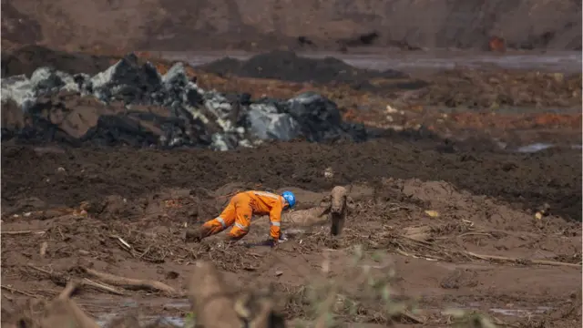 Bombeiro tenta resgatar vaca de lama