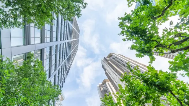 પ્રતીકાત્મક તસવીર