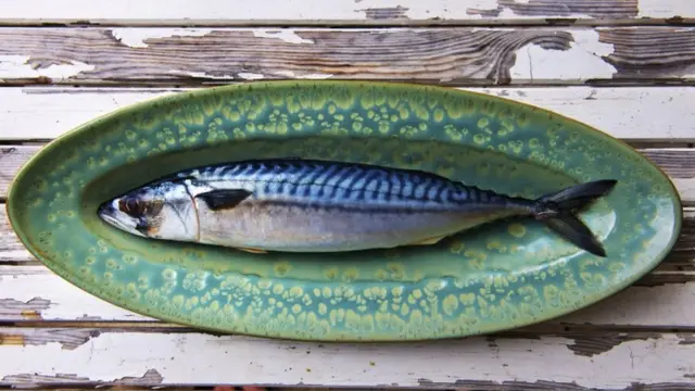 makerel. cina, cacing, badan pom