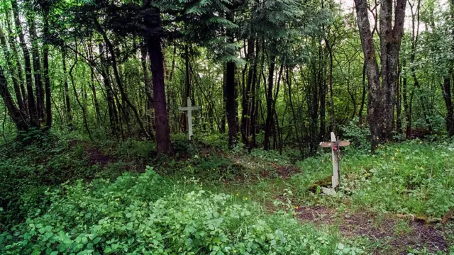 （Credit: Getty Images）