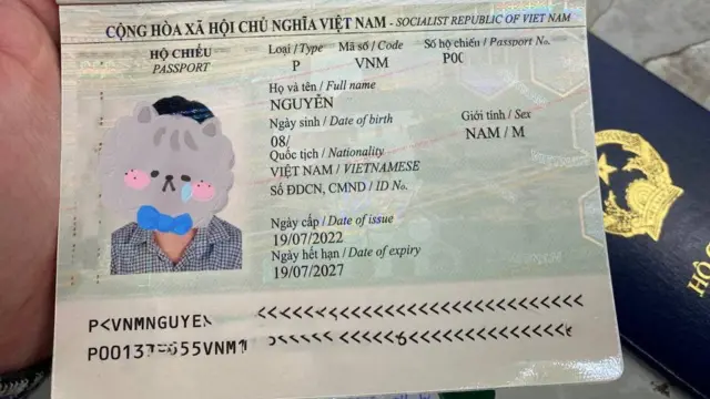 Vietnamese passport