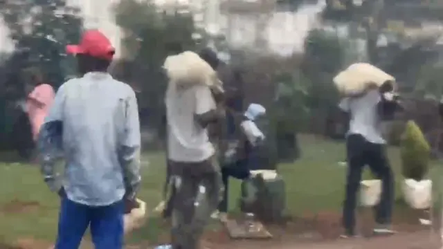 ሰባት ኣባጊዕ እናሰረቝ