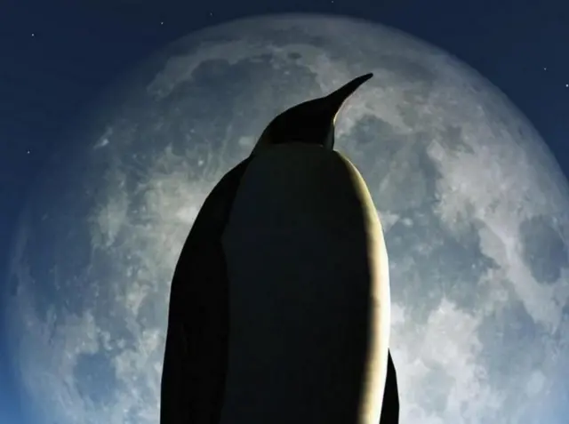 ચંદ્રગ્રહણ, બ્લડમૂન, ચંદ્રગ્રહણ શા માટે થાય અને કેટલા પ્રકારના હોય, ચંદ્રગ્રહણ દરમિયાન ખાવાનું ખાવું જોઈએ કે નહીં તેના સાથે જોડાયેલી ગેરમાન્યતાઓ, બીબીસી ગુજરાતી સાથે સમજો, બીબીસી ગુજરાતી સમાચાર