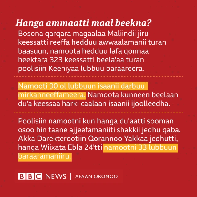 Waa'ee taatee kanaa hanga ammaatti maaltu beekama?