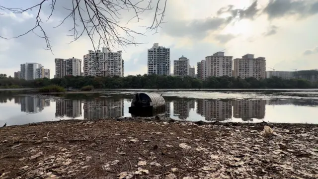 या संपूर्ण प्रकरणाचा अंतिम निर्णय आता न्यायालयीन प्रक्रियेतूनच स्पष्ट होणार आहे. 