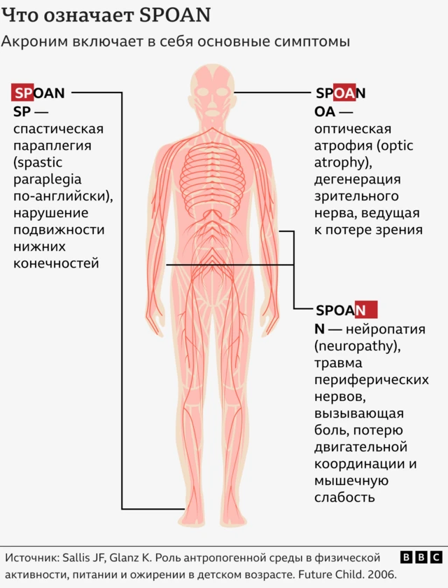 Графика, анатомическое изображение человека и стрелочки, показывающие, какие симптомы, входящие в акроним, связаны с какой частью тела.