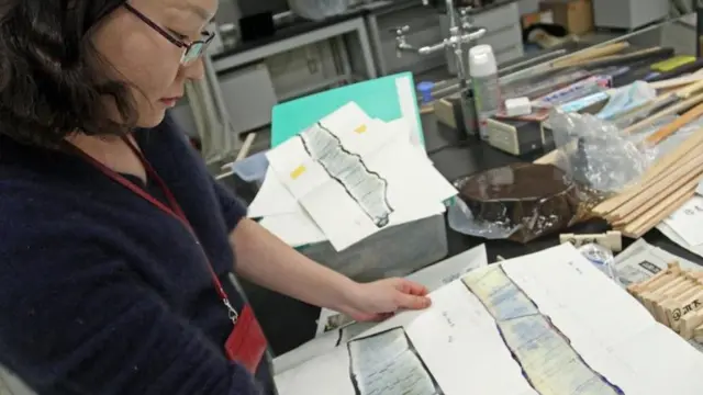 Investigadora japonesa