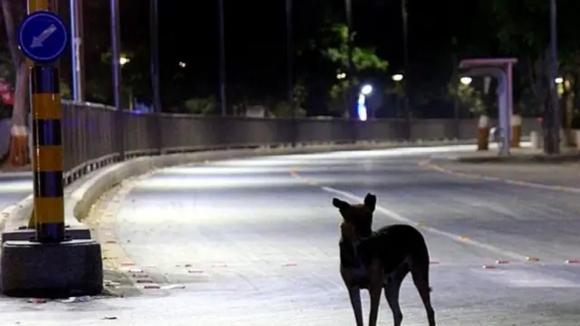 પ્રતીકાત્મક તસવીર